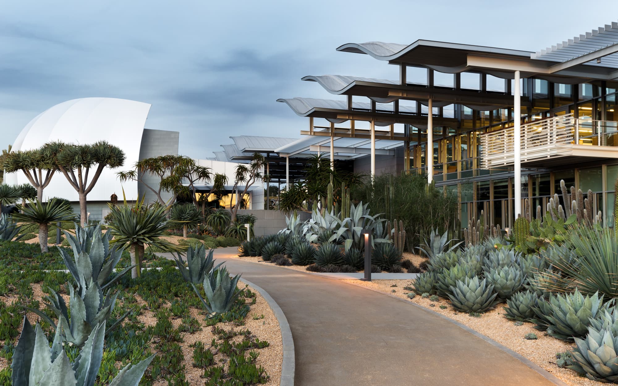 Newport Beach City Hall Sail - Eric Norton Photography